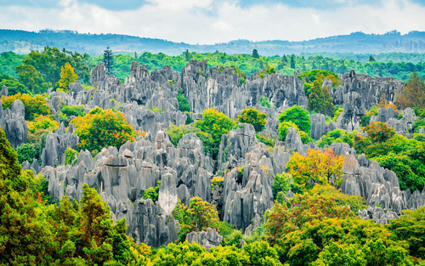 La forêt de pierres de Shilin : une merveille géologique témoignant du passé de la Chine | Kunming-Yunnan | Scoop.it