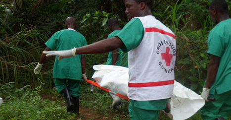 Ebola.com acheté 200 000 dollars | Actualités Afrique | Scoop.it