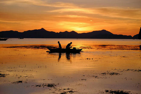 Filipino fishermen blame sand mining for declining catch | Soggy Science | Scoop.it