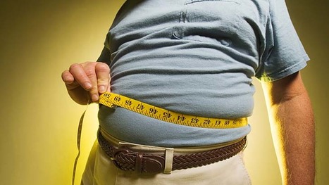 Fat Tax. Time to weigh in on a decision? | Physical and Mental Health - Exercise, Fitness and Activity | Scoop.it