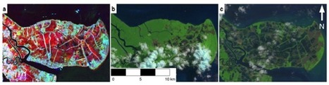 Les mangroves du monde entre 1996 et 2010 : quelles évolutions ? | Zones humides - Ramsar - Océans | Scoop.it