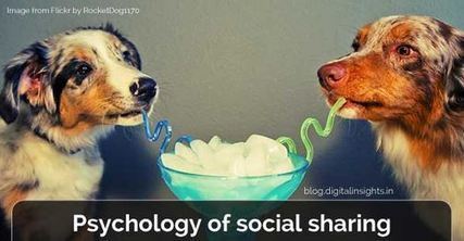 Quels sont les 6 profils types de ceux qui partagent des contenus sur les réseaux sociaux ? | Community Management | Scoop.it