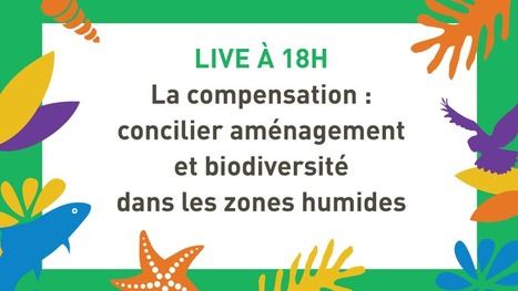 Retrouvez le replay du live "comment concilier aménagement et biodiversité en zones humides ? THAU INFOS | Biodiversité | Scoop.it