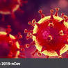 Veille Coronavirus - Covid-19