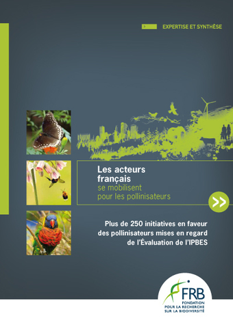Document de synthèse FRB : Plus de 250 initiatives en faveur des pollinisateurs mises en regard de l’Évaluation de l’IPBES | Insect Archive | Scoop.it