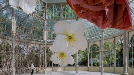 Las flores gigantes (e ‘instagrameables’) de Petrit Halilaj llegan al Palacio de Cristal de Madrid | Landart, art environnemental | Scoop.it