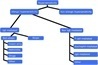 Clinical Use of Probiotics in Pediatric Allergy (CUPPA):  A... : World Allergy Organization Journal | Allergy (and clinical immunology) | Scoop.it