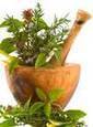 Come curare i malesseri invernali con le piante | www.ecplanet.com | Rimedi Naturali | Scoop.it
