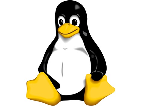 Une faille de sécurité vieille de 5 ans corrigée dans le noyau Linux | Cybersécurité - Innovations digitales et numériques | Scoop.it