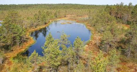 Luonto | 1Uutiset - Lukemisen t&auml;hden | Scoop.it