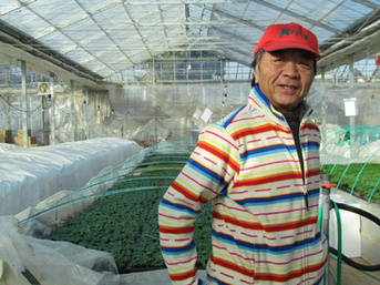 Fukushima’s fallout: Farmers suffer as buyers reject food even though it’s... | The Asian Food Gazette. | Scoop.it