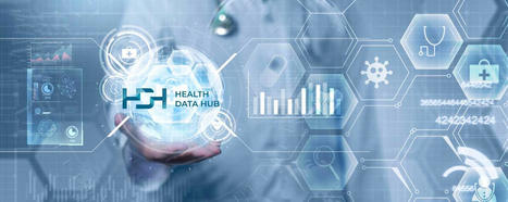 Un gros coup de frein sur le Health Data Hub ? | 7- DATA, DATA,& MORE DATA IN HEALTHCARE by PHARMAGEEK | Scoop.it