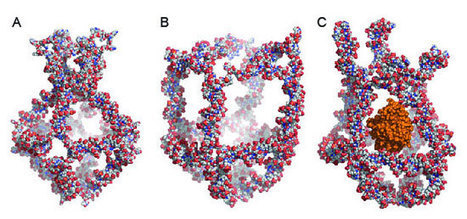 Nanorobot for transporting drugs in the body | 21st Century Innovative Technologies and Developments as also discoveries, curiosity ( insolite)... | Scoop.it
