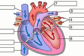 The AI Content Explosion: What Your Learners Actually Think (And Why It Matters) | Education 2.0 & 3.0 | Scoop.it