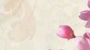 Vector gratis de Flores rosadas superpuestas | Freakinthecage Webdesign Lesetips | Scoop.it