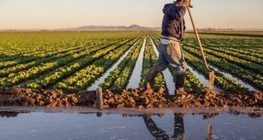 Casablanca-Settat: L'agriculture a su résister à la sécheresse et au Covid-19 | CIHEAM Press Review | Scoop.it