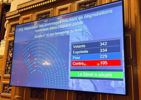 Le S&eacute;nat adopte largement le projet de loi "casseurs-payeurs", en le durcissant | Pr&eacute;vention de la d&eacute;linquance, Pr&eacute;vention de la radicalisation | Scoop.it