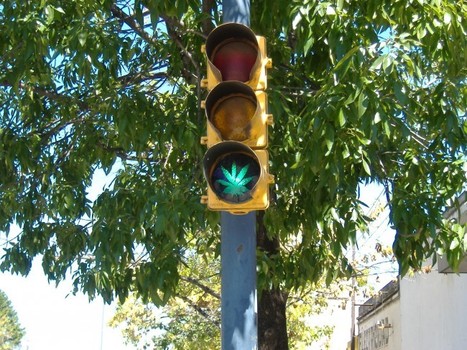 Medical Cannabis Has Republican Support in Florida | Beckley News : Cannabis - Marijuana | Scoop.it