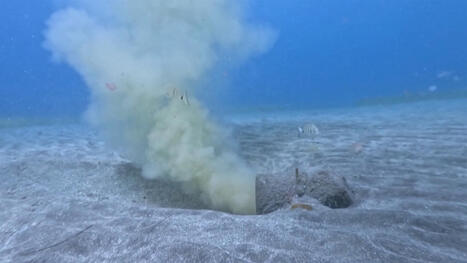 Cauchemar au paradis : aux &icirc;les Canaries, la crise des eaux us&eacute;es | Regards crois&eacute;s sur la transition &eacute;cologique | Scoop.it