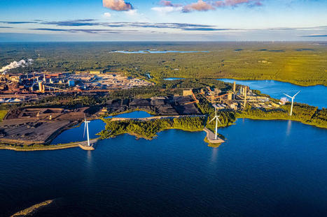 Finland Becomes World's First Country to Make Legally Binding Carbon Negativity Pledge - EcoWatch.com | Agents of Behemoth | Scoop.it