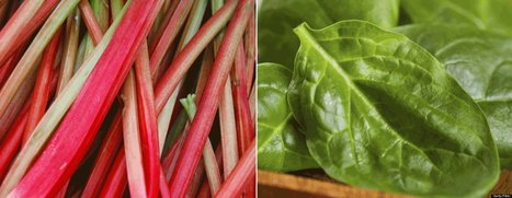 5 Tasty April Superfoods | AIHCP Magazine, Articles & Discussions | Scoop.it