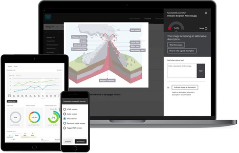 Blackboard Ally - Making course content accessible | Blackboard Tips, Tricks and Guides | Scoop.it