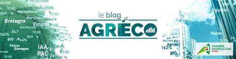 Des ingrédients comme alternatives aux matières premières agricoles | Lait de Normandie... et d'ailleurs | Scoop.it