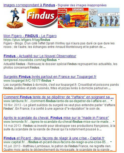 Comment faire un audit d'e-r&eacute;putation ? Le cas de Findus par ASVD | L'E-R&eacute;putation | Scoop.it