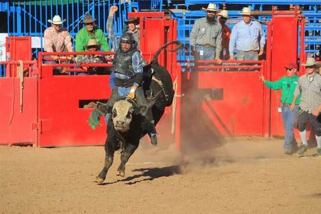 Gay rodeos offer friendly competition and family-like support | #ILoveGay | Scoop.it
