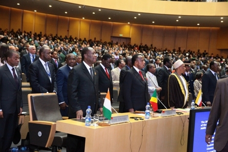 Foire d'empoigne pour la présidence de l'Union Africaine | Chronique des Droits de l'Homme | Scoop.it