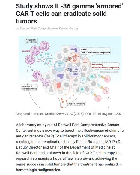 Roswell Park Researchers Advance CAR T-cell Therapy for Solid Tumors | Melvin Sanicas posted on the topic | LinkedIn | Immunology and Biotherapies | Scoop.it