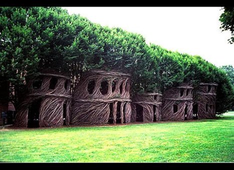 Des maisons en bois construites avec des arbres vivants ! | Maison Bois Kokoon | Build Green, pour un habitat &eacute;cologique | Scoop.it