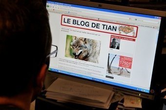 Cadavre du loup dans le Ventoux : quand l'omerta fait le buzz - La Provence | Loup | Scoop.it
