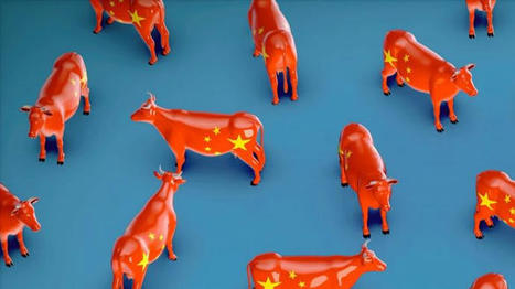 Une moindre croissance des importations chinoises de viande bovine en 2021 | Actualité Bétail | Scoop.it