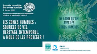 Journ&eacute;e mondiale des zones humides 2026 : sources de vie, h&eacute;ritage intemporel ! | Une semaine d'actu - Newsletter de veille de l'AURH | Scoop.it