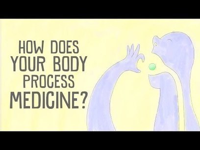 How does your body process medicine? - C&eacute;line Val&eacute;ry | Hospitals and Healthcare | Scoop.it