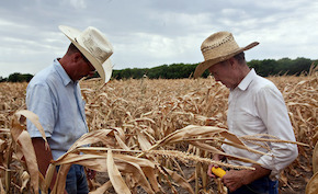 PETITION: Tell Secretary Vilsack: Farmers Deserve the Facts about Climate Change and Drought | Coffee Party Science | Scoop.it