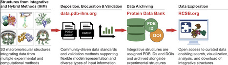 RCSB Protein Data Bank: Delivering integrative structures alongside experimental structures and computed structure models | nar | RMH | Scoop.it