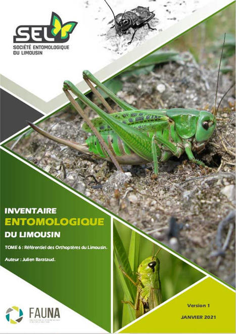 Peuplements d’orthoptères du Limousin : La présence ancienne ou récente de 80 taxons est attestée | Histoires Naturelles | Scoop.it