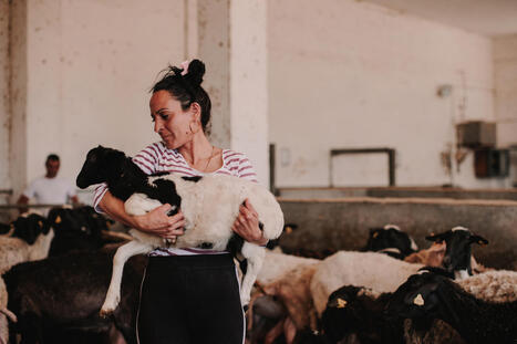 WOMEN in Farming EU Platform | CIHEAM Press Review | Scoop.it