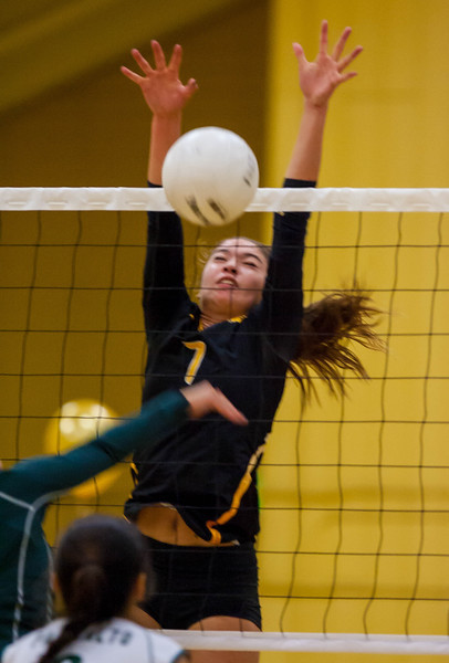 2015 girls' All-SCVAL De Anza Division volleyball team | Chanti Holroyd | Scoop.it