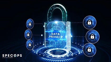 More US States are ramping up data privacy laws in 2023 | Bridging the Gaps | Scoop.it