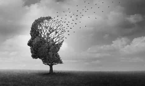 El primer banco de células madre a gran escala permite estudios mundiales sobre el riesgo genético del Alzheimer | Alzheimer y más (Boletín nº 69) | Scoop.it