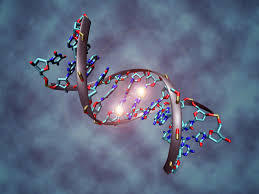 Chromatin state dynamics during blood formation | Genetics - GEG Tech top picks | Scoop.it