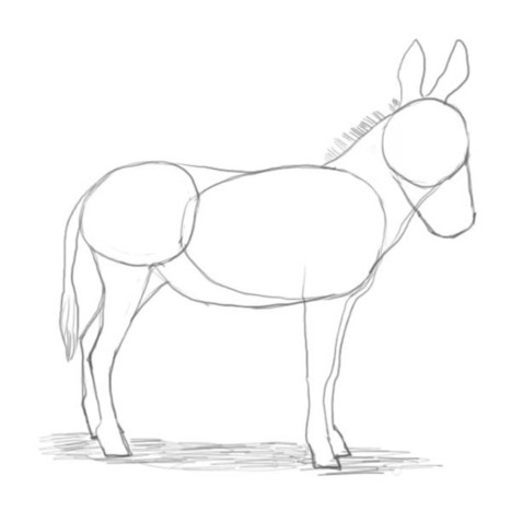 How To Draw A Donkey - Reference Guide | Drawing References and Resources | Scoop.it
