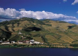 Tradition vs. Innovation: What Will Save the Douro? Part I | Enobytes | Essência Líquida | Scoop.it