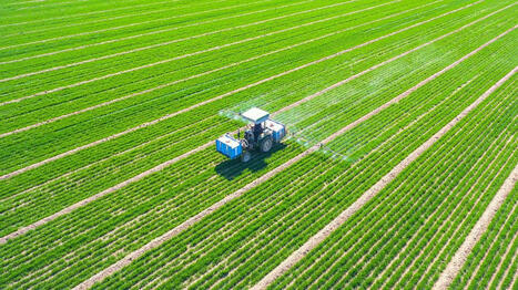 « Au moins, les odeurs, ça ne tue pas » : comment des parfums chassent les ravageurs sur les betteraves - Charente Libre.fr | EntomoScience | Scoop.it