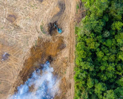 Forêts françaises : quel avenir face au changement climatique ? | Regards croisés sur la transition écologique | Scoop.it