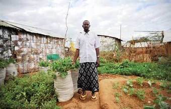 AFRICA: The Constant Gardeners - Climate Change and desertification | CLIMATE CHANGE WILL IMPACT US ALL | Scoop.it