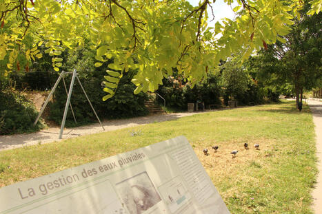 Eau et ville : un centre de ressources au service des territoires pour diffuser les bonnes pratiques sur la gestion des eaux pluviales en ville | ESPACES VEGETALISES URBAINS | Scoop.it